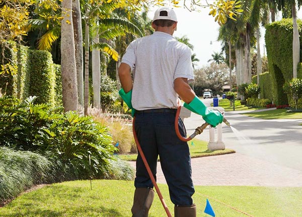 About Mount Airy GA Pest Control Pros